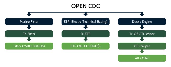 Direct Entry Scheme(Open CDC) Career Graph